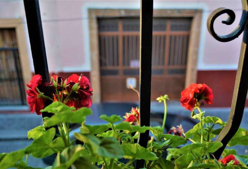 בית מלון כפרי Casa Marfil Hostel