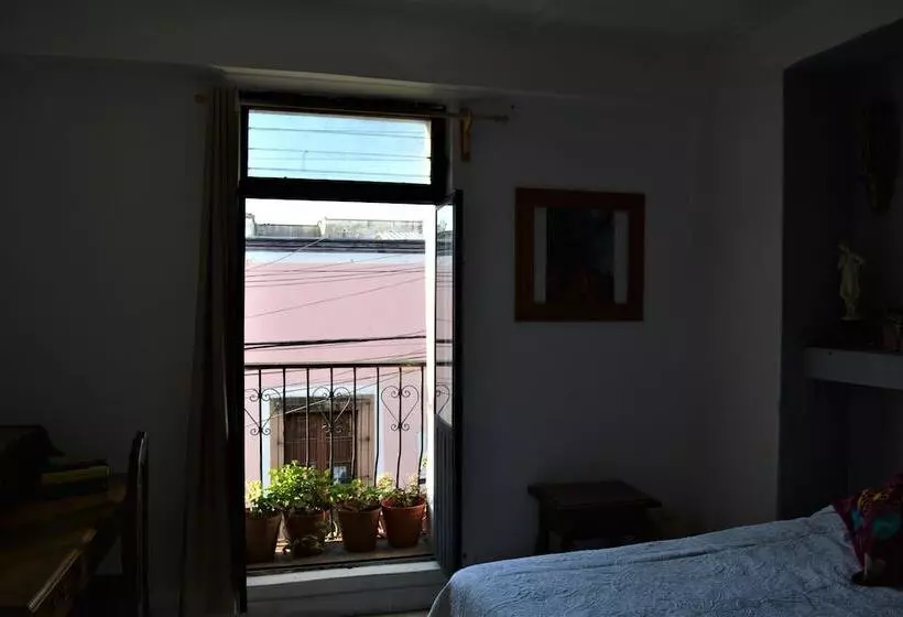 هتل Casa Marfil   Hostel