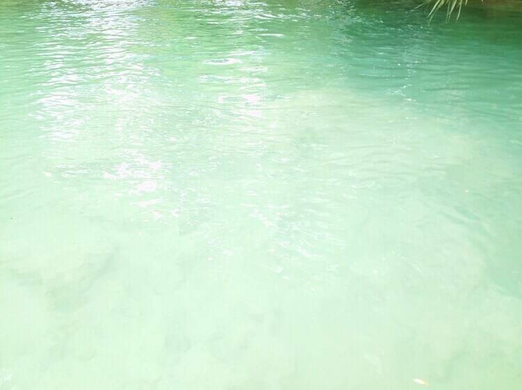 هتل Room In Lodge   Sierraverde Cabin Cabaña El Cedro