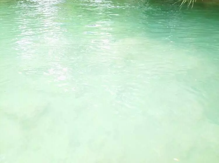 Hotelli Room In Lodge   Sierraverde Cabin Cabaña El Cedro