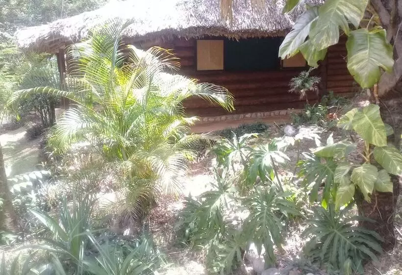 Hotelli Room In Lodge   Sierraverde Cabin Cabaña El Cedro