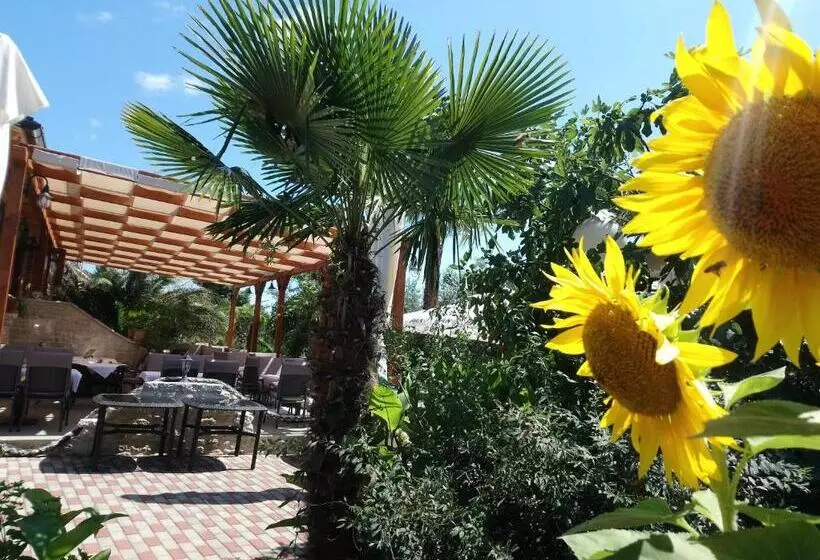 Bed and Breakfast Villa Anton