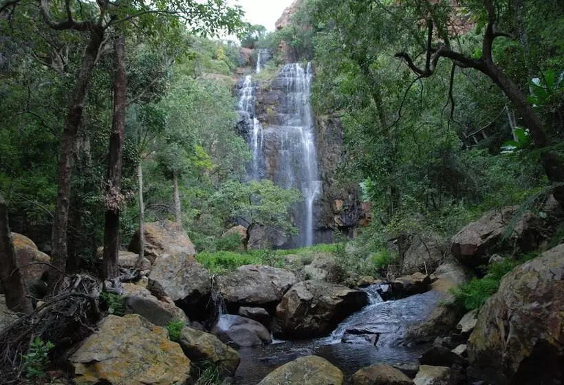 호텔 Mashovhela Bush Lodge