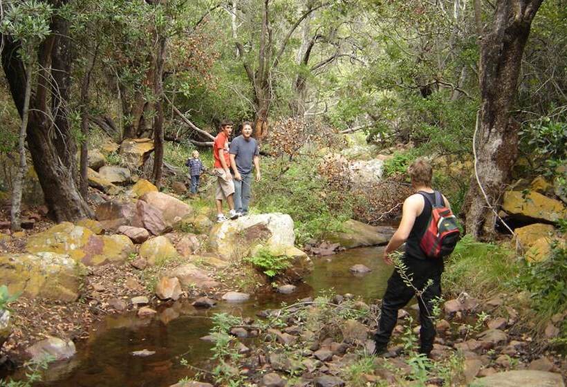 فندق Mashovhela Bush Lodge
