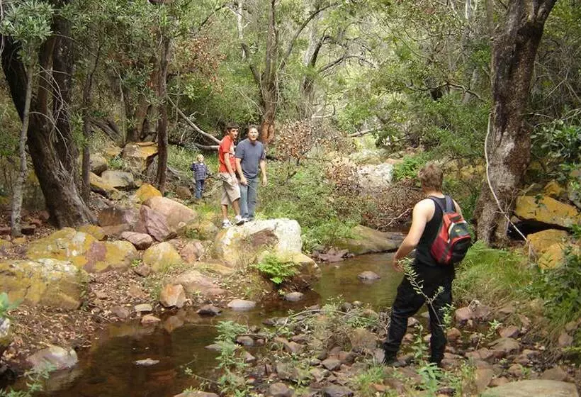 호텔 Mashovhela Bush Lodge