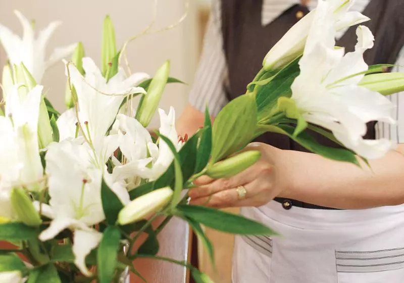 בית מלון כפרי Oriens & Residences