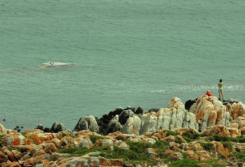 호텔 Whalesong Lodge