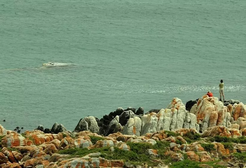 호텔 Whalesong Lodge