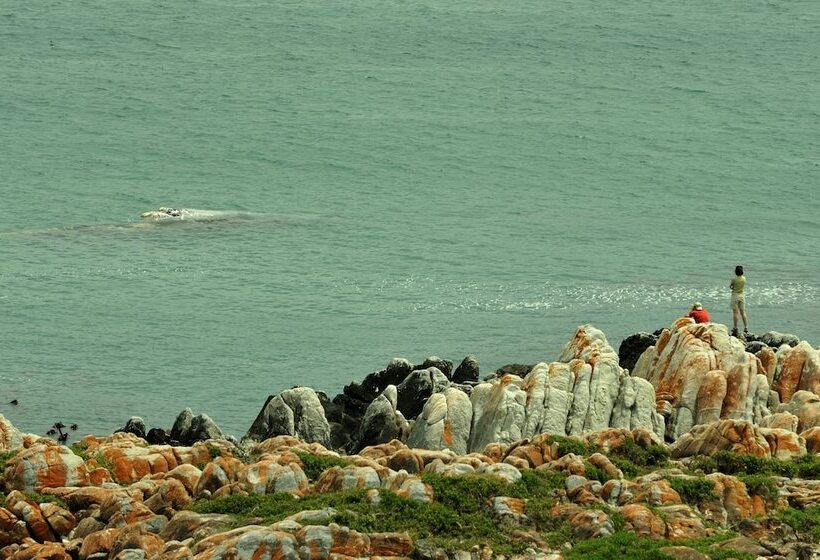 호텔 Whalesong Lodge