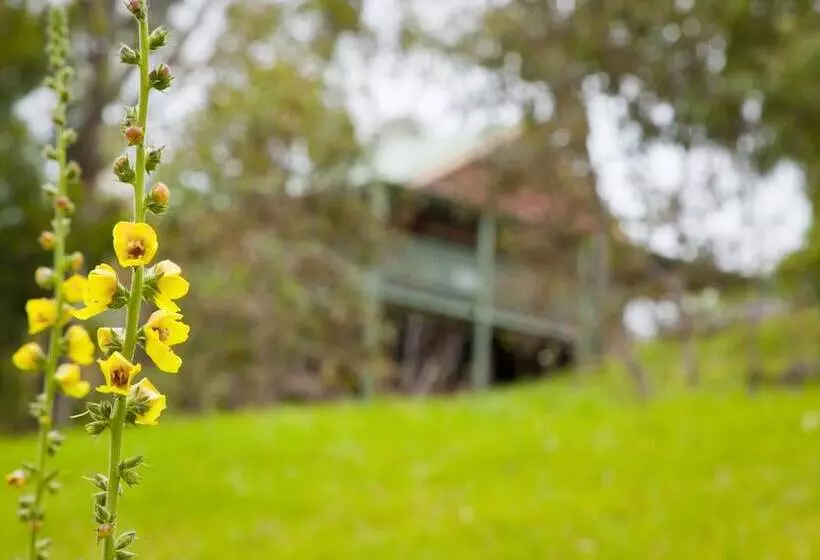 Bed and Breakfast The Bryn At Tilba