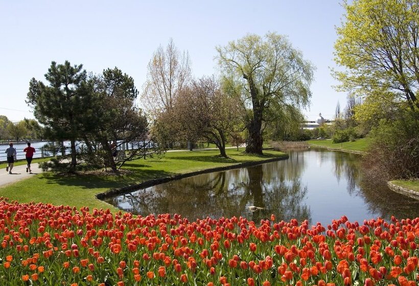 酒店 Holiday Inn Express & Suites Ottawa West   Nepean, An Ihg