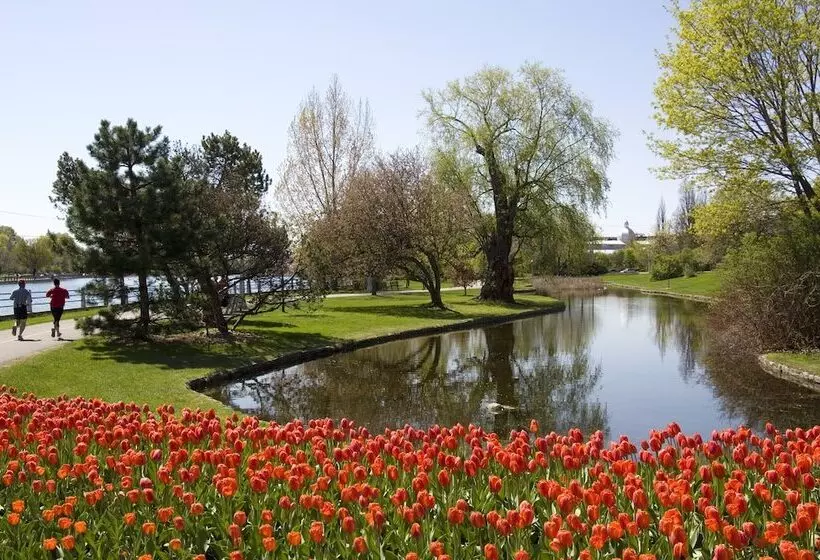 Hotel Holiday Inn Express & Suites Ottawa West   Nepean, An Ihg