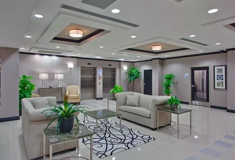 Hotel Holiday Inn Express & Suites Ottawa West   Nepean, An Ihg