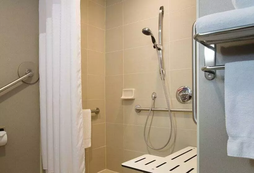 Hotel Holiday Inn Express & Suites Ottawa West   Nepean, An Ihg