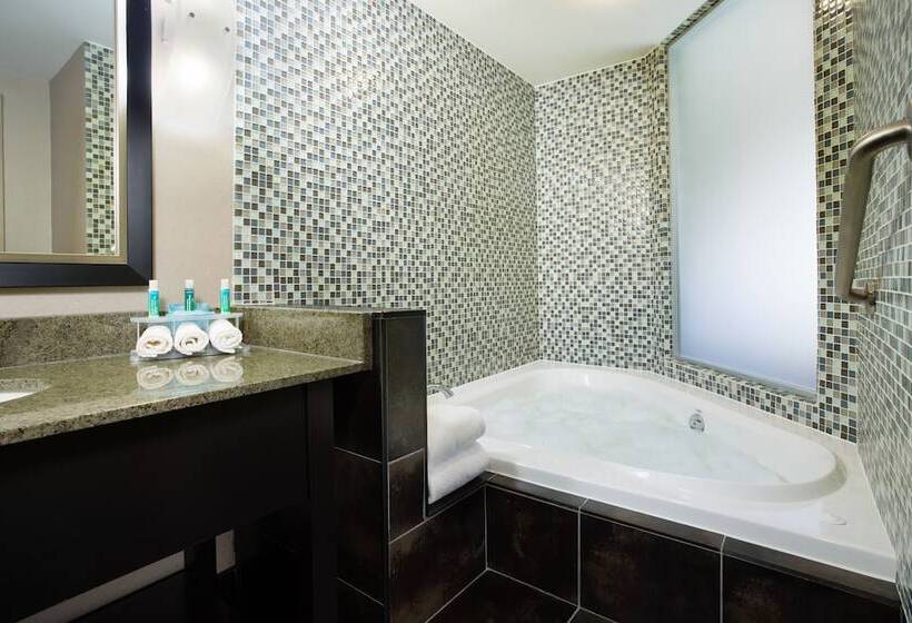 酒店 Holiday Inn Express & Suites Ottawa West   Nepean, An Ihg