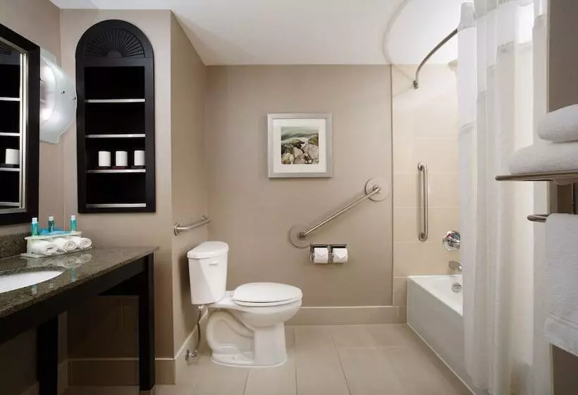 Hotel Holiday Inn Express & Suites Ottawa West   Nepean, An Ihg