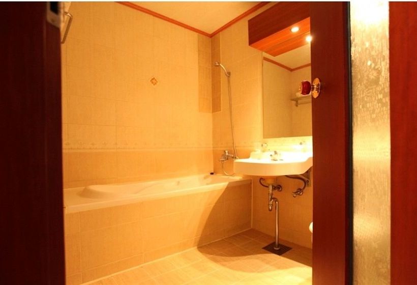 Hotel Ilsan Business  Grache