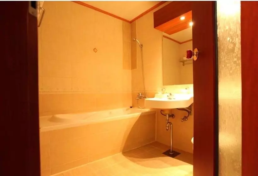 Hotel Ilsan Business Grache