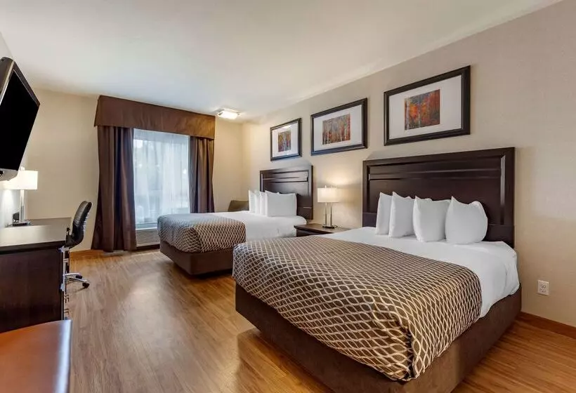 酒店 Best Western Plus The Inn At St Albert