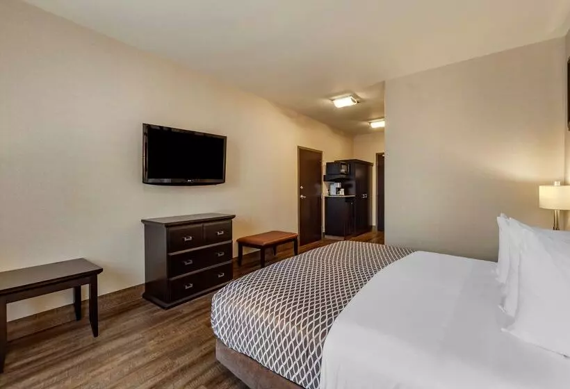 酒店 Best Western Plus The Inn At St Albert