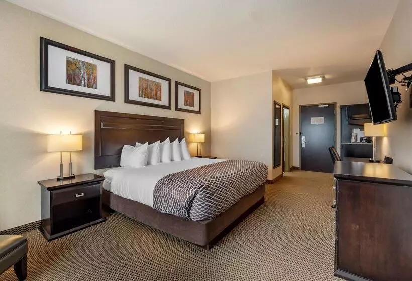 酒店 Best Western Plus The Inn At St Albert