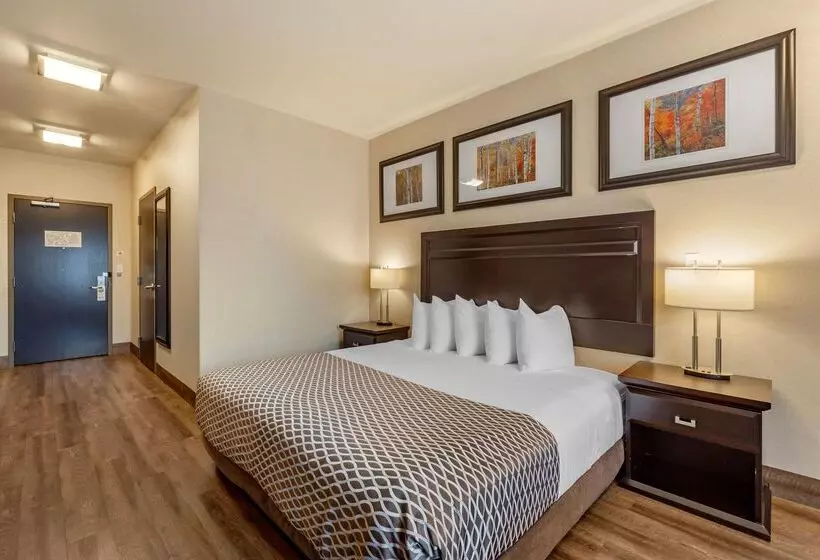 酒店 Best Western Plus The Inn At St Albert