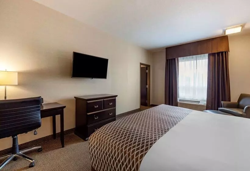 酒店 Best Western Plus The Inn At St Albert