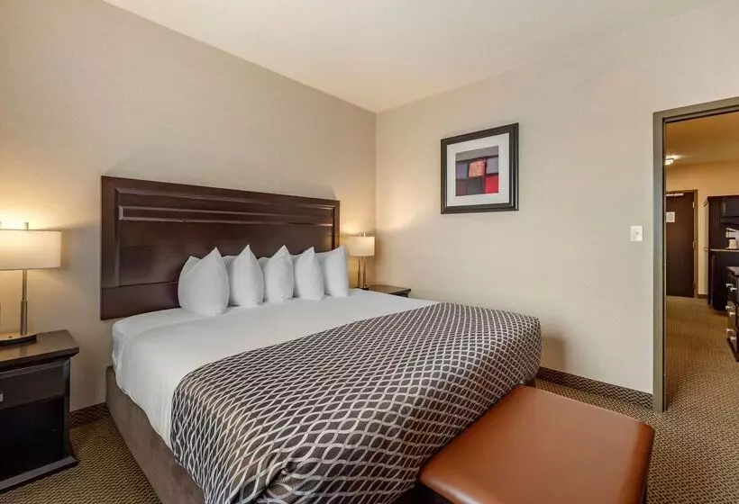 酒店 Best Western Plus The Inn At St Albert