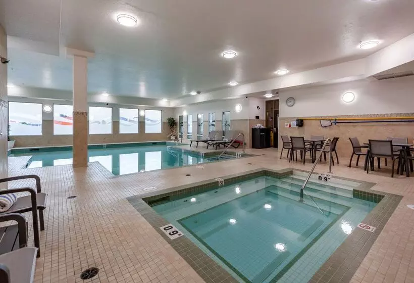 酒店 Best Western Plus The Inn At St Albert