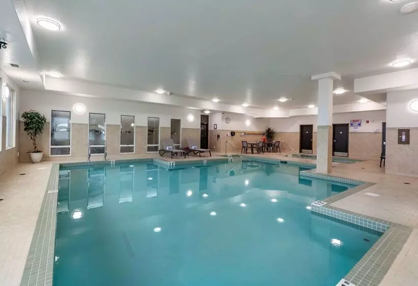 酒店 Best Western Plus The Inn At St Albert