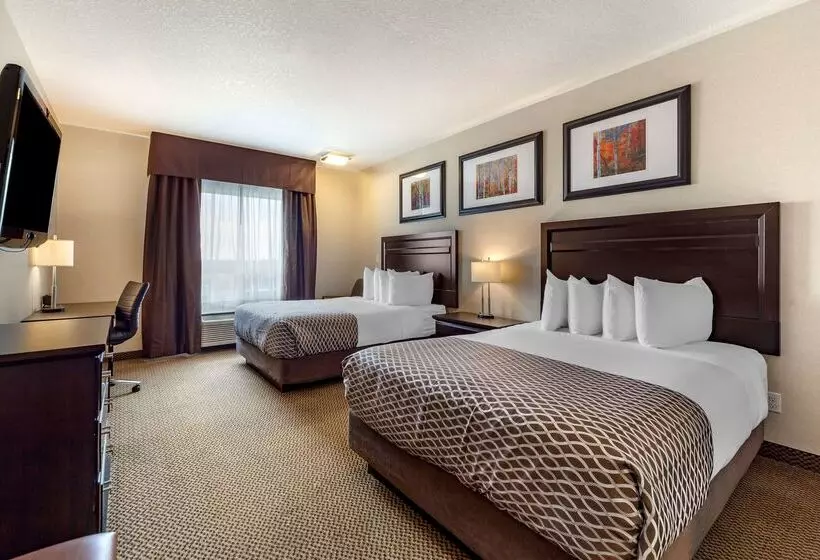 酒店 Best Western Plus The Inn At St Albert