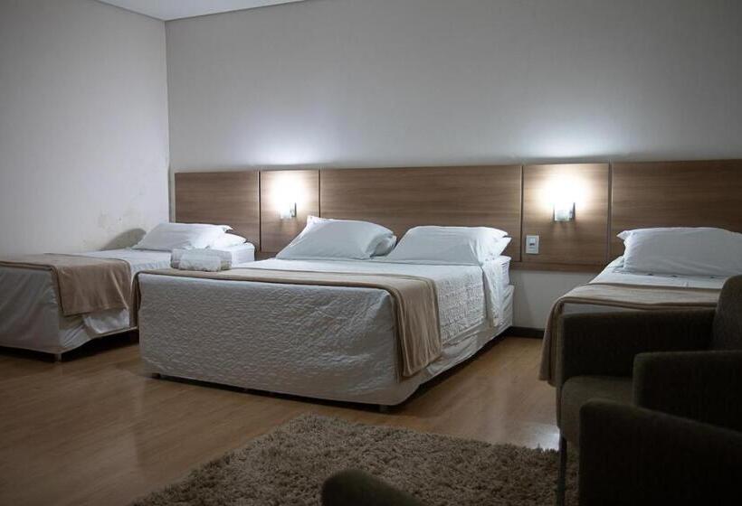 酒店 Maximus Business