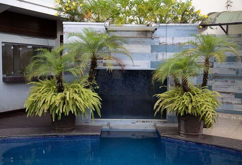 酒店 Maximus Business