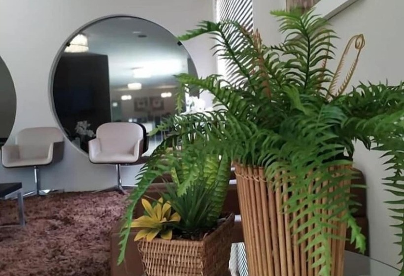 酒店 Maximus Business