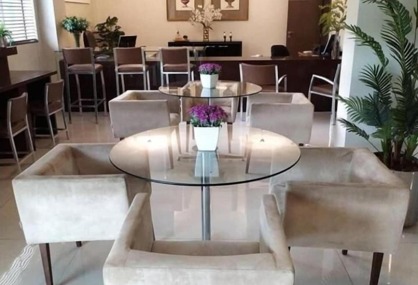 酒店 Maximus Business