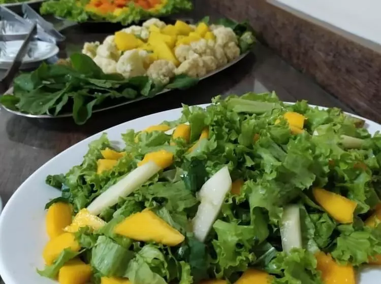 酒店 Maximus Business