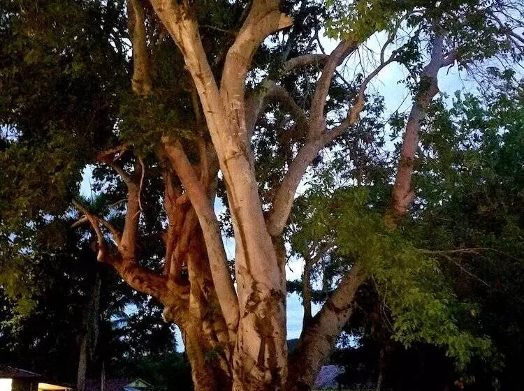 هتل Parador Guánica 1929