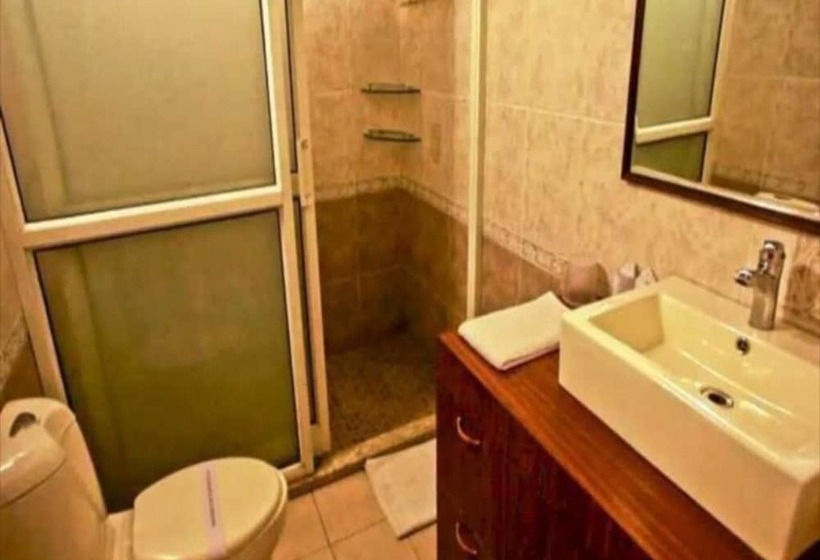 هتل The Palace Balvedere