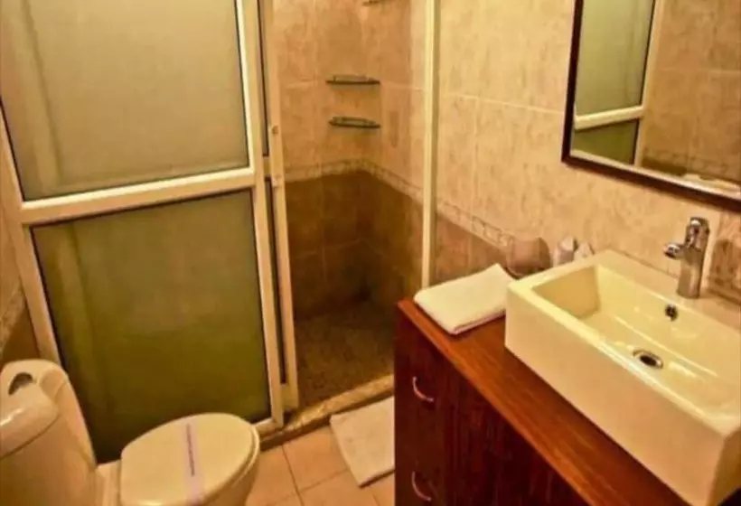 هتل The Palace Balvedere