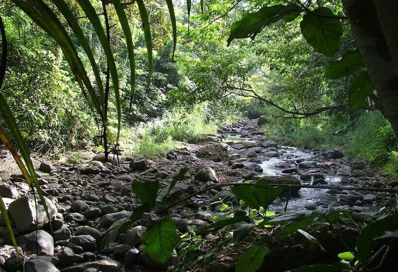 هتل The Still Beach House