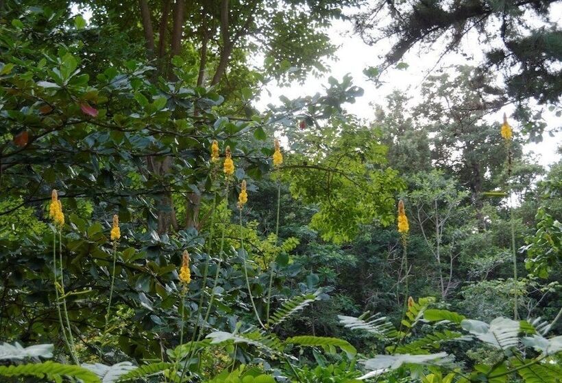 هتل The Still Beach House