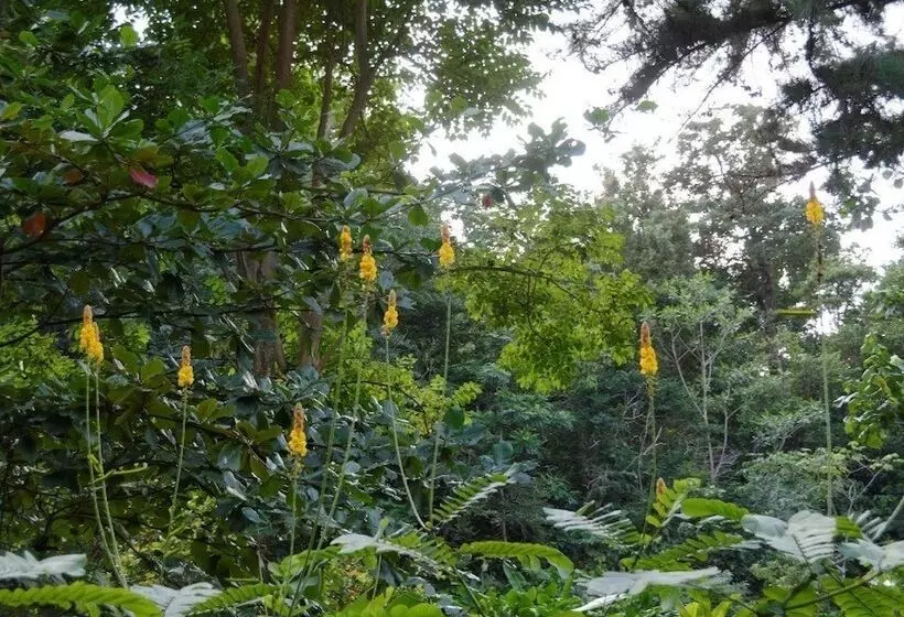 هتل The Still Beach House