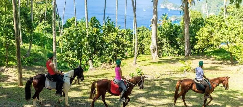 هتل The Still Beach House