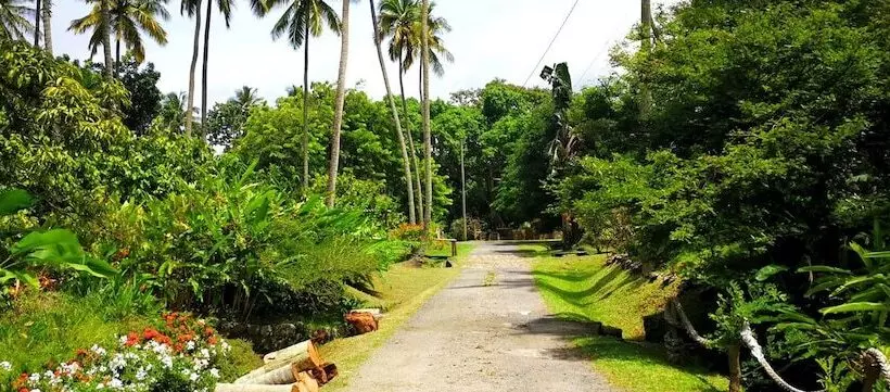 هتل The Still Beach House