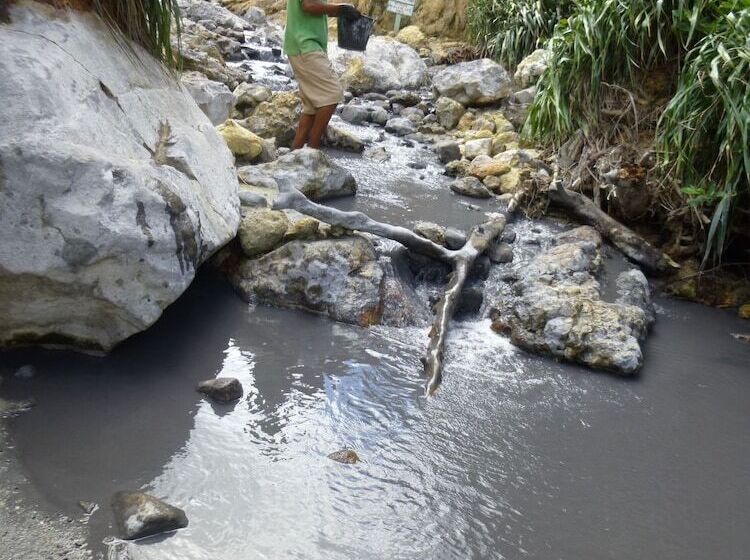 هتل The Still Beach House