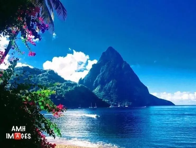 هتل The Still Beach House