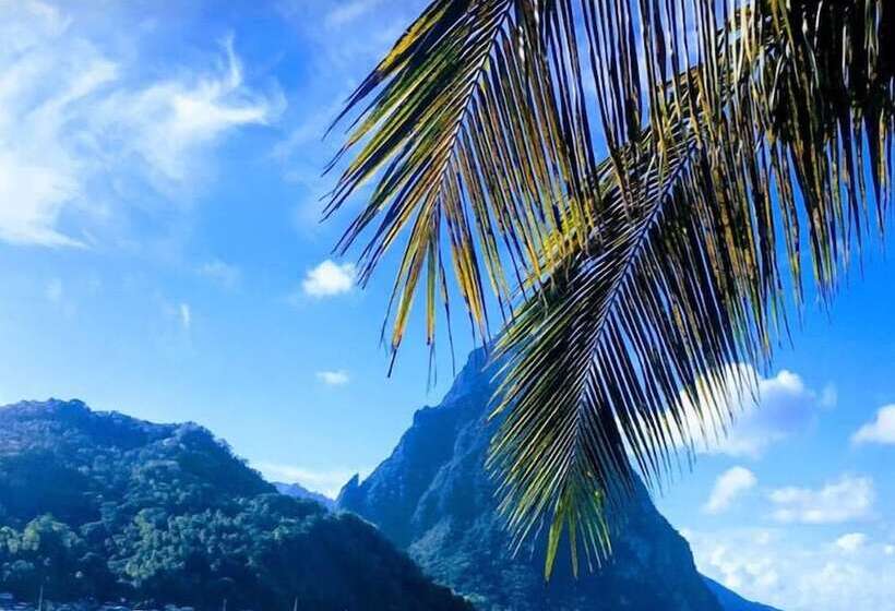 هتل The Still Beach House