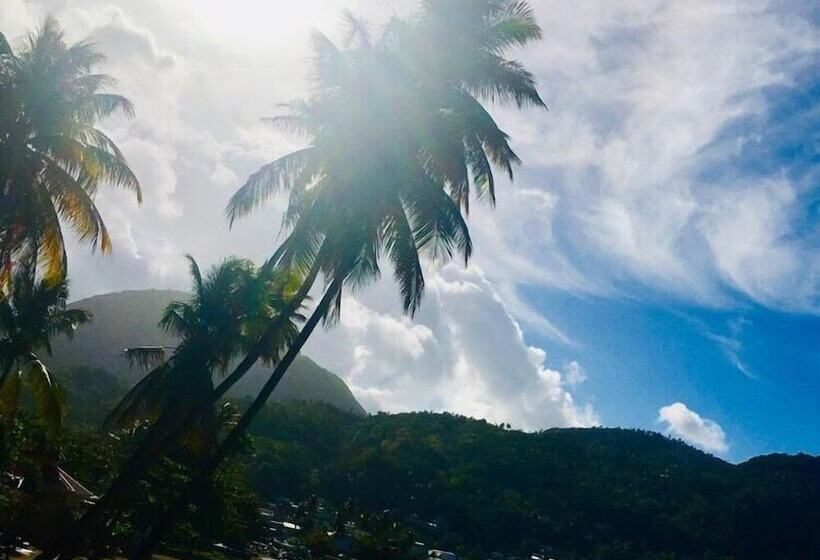 هتل The Still Beach House