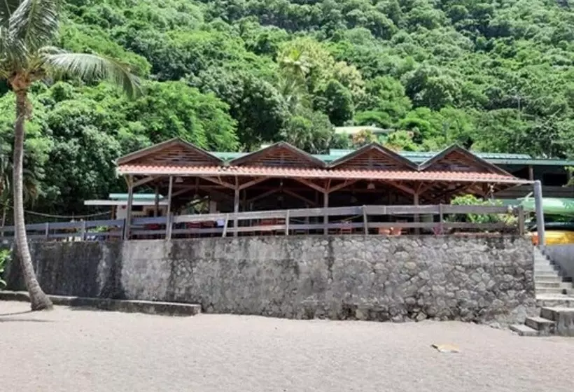 هتل The Still Beach House