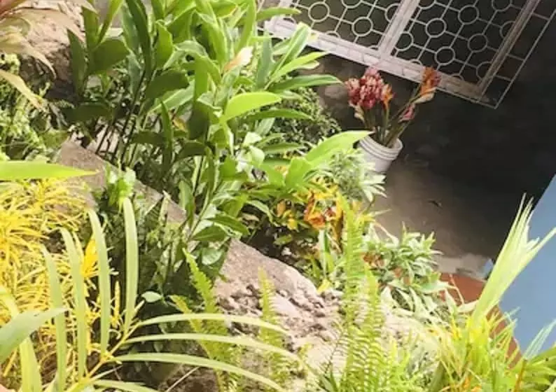 هتل The Still Beach House